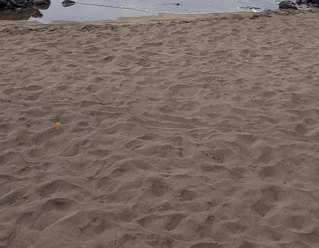 Willa Rosas By Rinamar