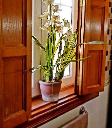 Rosas By Rinamar Willa