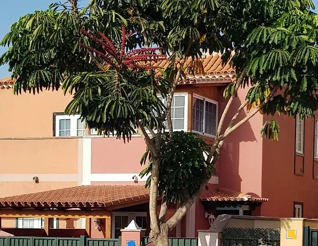 Rosas By Rinamar Villa