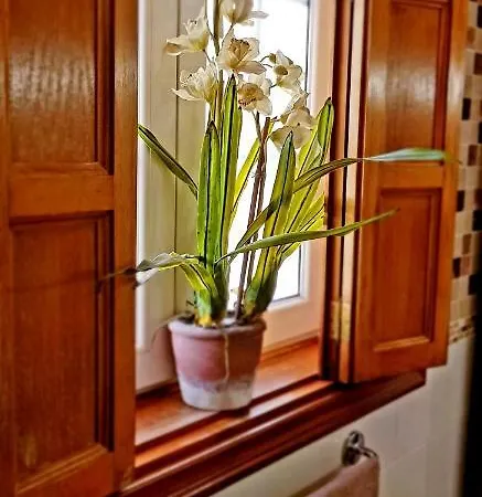 Rosas By Rinamar 빌라